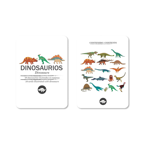 Flash Cards Dinosaurios